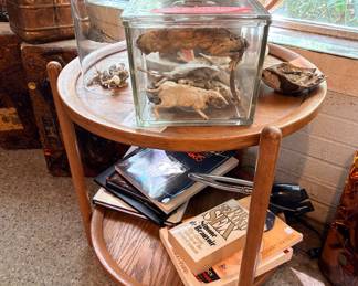 Look closely! What do you see in this jar??