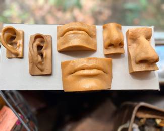 Eek! So realistic! The artist used some of these in his work, but I just love the weirdness of them...