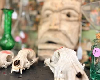 Our artist was into bones and skulls so you will see a few scattered throughout the house… Tracy has tried to identify them so you must pick up one for your child :-) you know how they love creepy things!