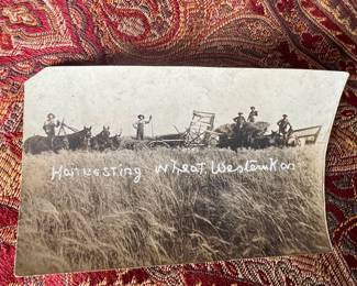 Old postcard of Kansas wheat harvest