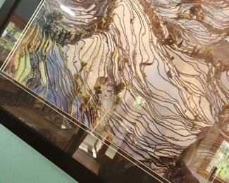 Reflection makes it difficult to see but it is an interesting Framed and signed Art.