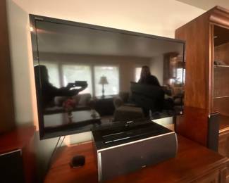 TV & surround sound speakers