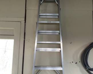 . . . aluminum ladder