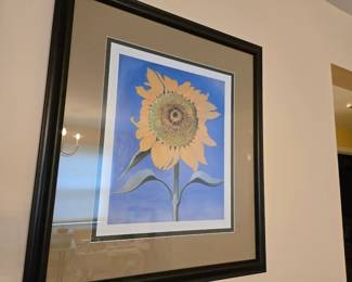 Many photos, paintings