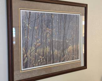 Robert Bateman "White Tail Deer" Limited Edition Framed Signed And Numbered Print 2487/10,000
