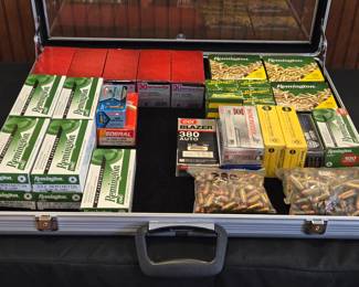 LOTS Of Ammo (223 Remington, 9mm Luger, .22 LR, 380 Auto, 32 S&W Long, And 12 Gauge)