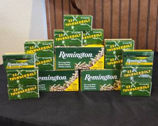 .22 LR Ammo