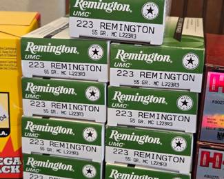 223 Remington Ammo
