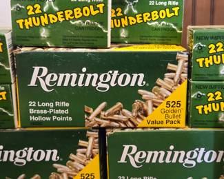 .22 LR Ammo