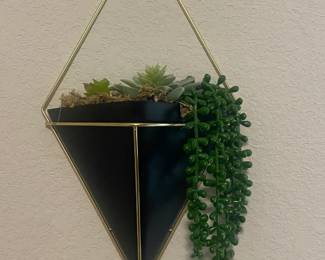 wall planter- new