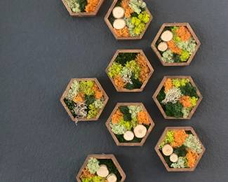 Hexagon moss wall art, separate pieces, sold as a set, new