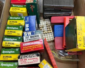 Brass Casings for Reloading