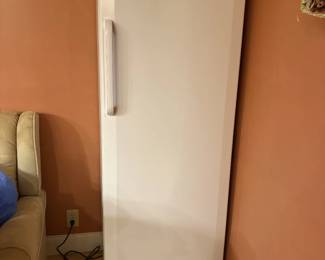 Stand Up Freezer
