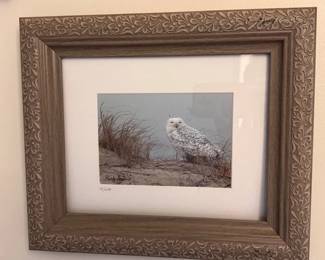 Framed owl print