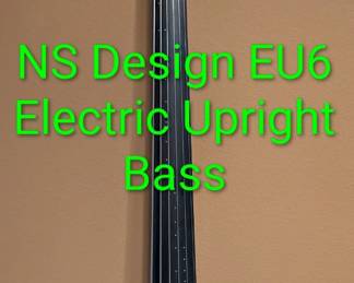 NS Design EU6 Electric Upright Bass