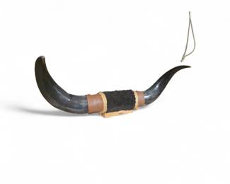 rustic wall mount featuring polished steer horns wrapped in leather and rope