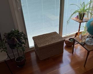 Woven Seagrass Storage Trunk with Flat Lid and Side Handles