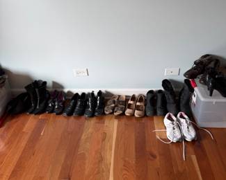 Assorted Women's Shoes Including Sneakers, Sandals, and Heels