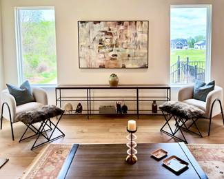 Living Room Furniture and Décor 