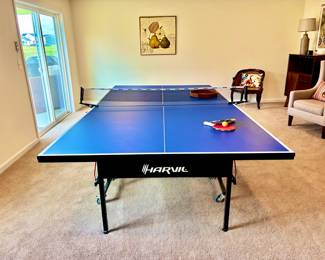 Folding Ping Pong Table / Table Tennis