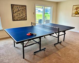 Folding Table Tennis / Ping Pong Table