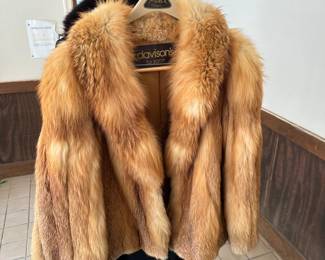 Red Fox Fur