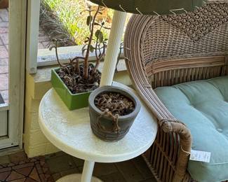 Wicker Armchair with Side Table and Plants