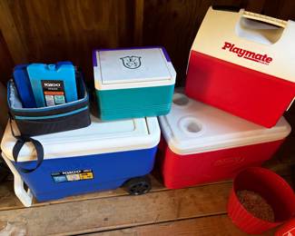 Assorted Coolers and Ice Packs