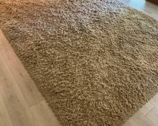 Shag Area Rug