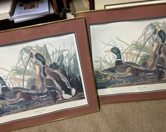 $35 pair Audubon prints- pair