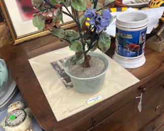$50 Jade tree 