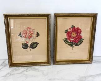 Lot 1295  Pair Vintage Lila Moore Keen Botanical Art Prints