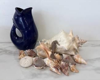 Lot 5228  Fish Gurgle Pot Sea Shells Natural Curiosities