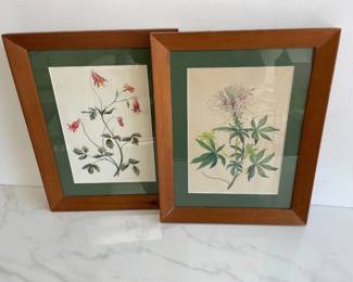 Lot 1411  Pair Botanical Watercolor Original Art