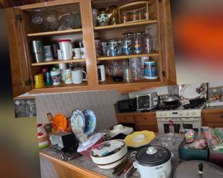 kitchen items inside house and inside pool house too too much to list...