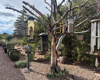 Bird House's and Feeder's