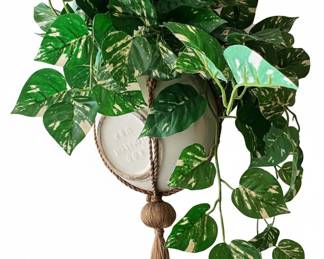 Artificial Pothos Plant in Macrame Hanger