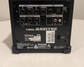 Roland Cube Monitor CM-30 30W Powered Monitor