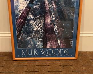 Muir Woods National Monument California Redwoods Framed Poster