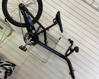 Schwinn Fatsback Tagalong 