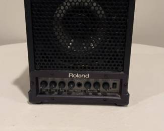 Roland Cube Monitor CM-30 30W Powered Monitor