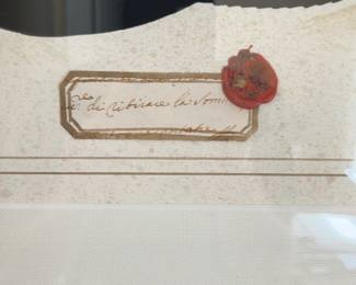 Framed Minimalist Serpent Illustration Art Print 29 x 35