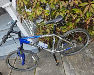 Trek 4300 mountain bike