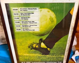 framed poster commemorates a soccer tournament held in the Czech Republic in the year 2000.