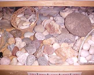 Rocks and vertebrae.