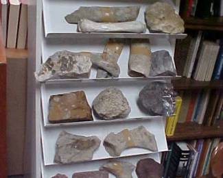 Rocks, Fossills, Bones, and Shells.
