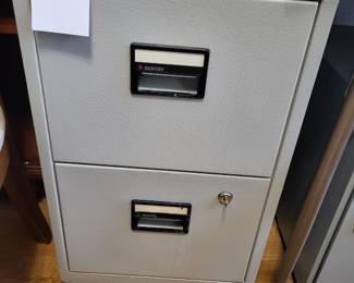 Sentry Fire File Cabinet
