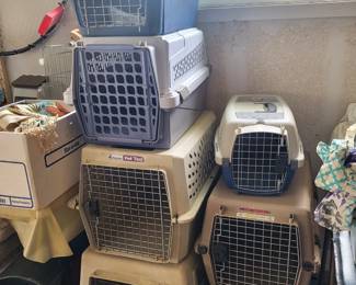 Variety cat kennels