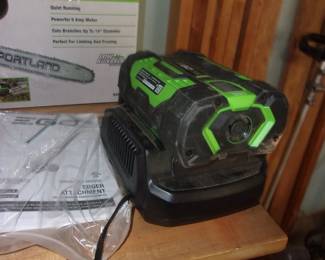 EGO Battery w/Charger