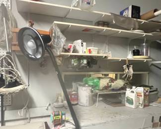 Adjustable Floor Lamp